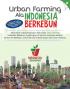 Urban Farming Ala Indonesia Berkebun